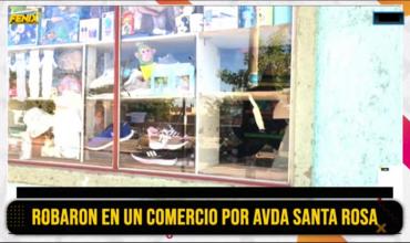 “El Chavo” robó en un comercio de zona sur y fue detenido